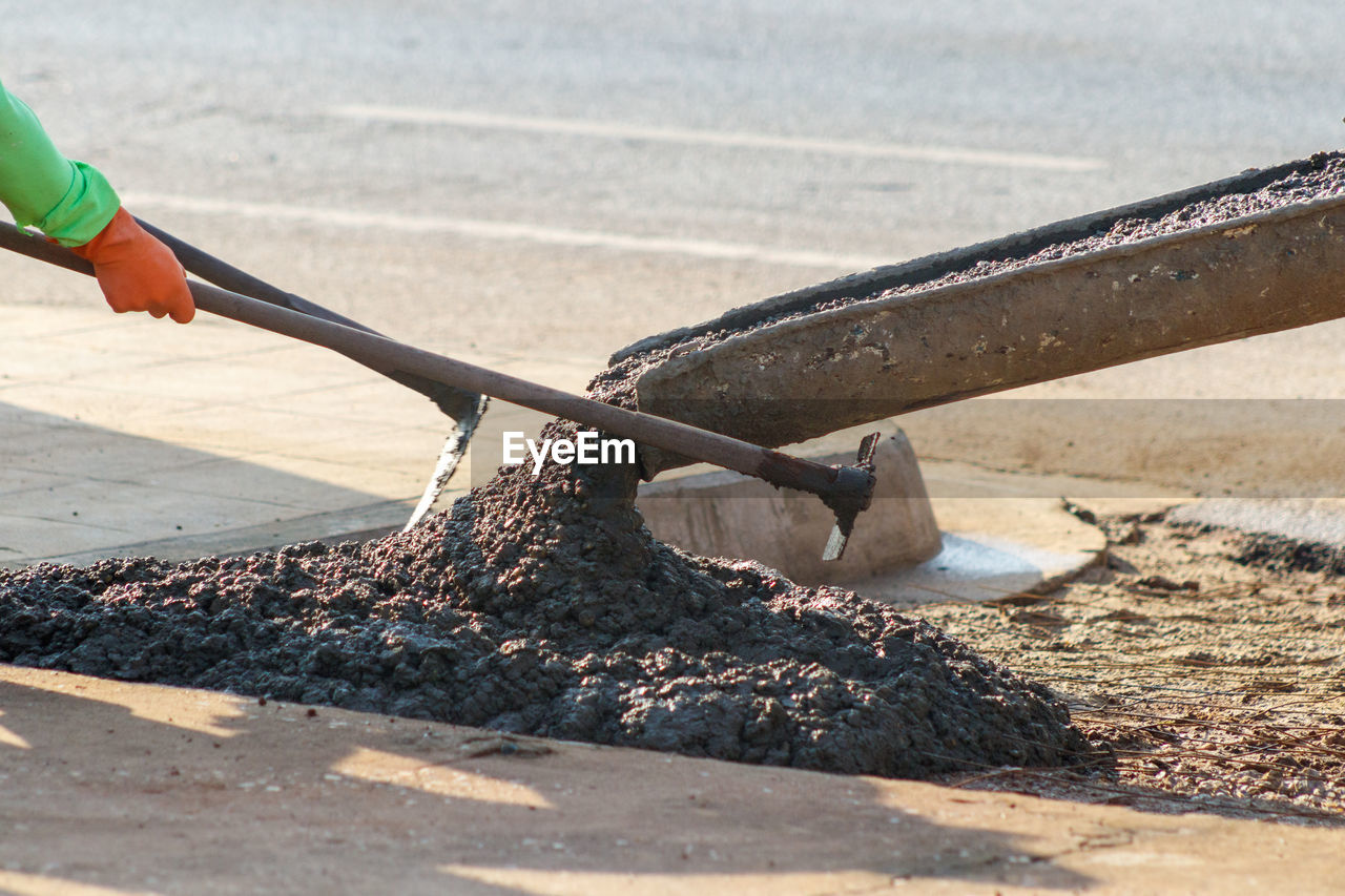 Close-up of birds on road