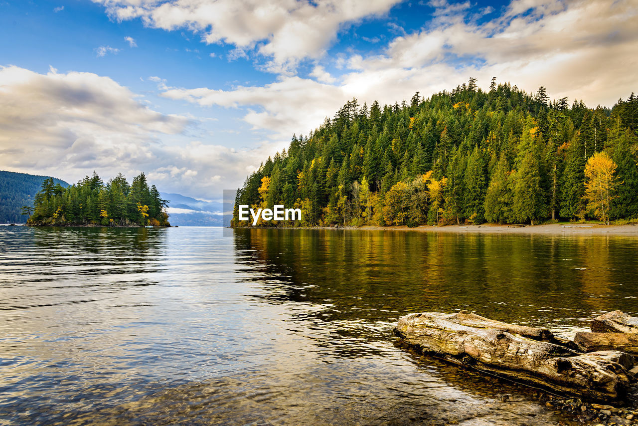 Scenic view of lake in forest against sky