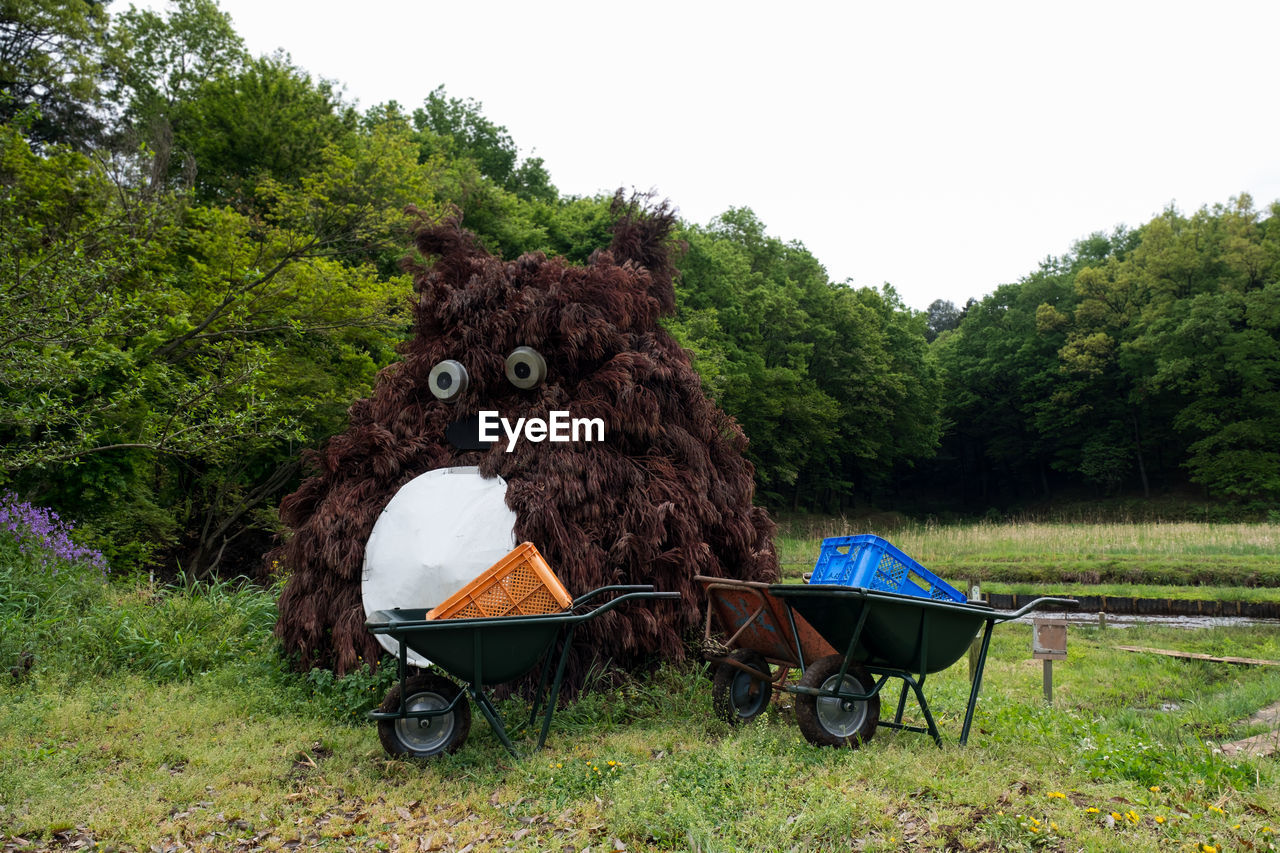 HORSE CART ON FIELD