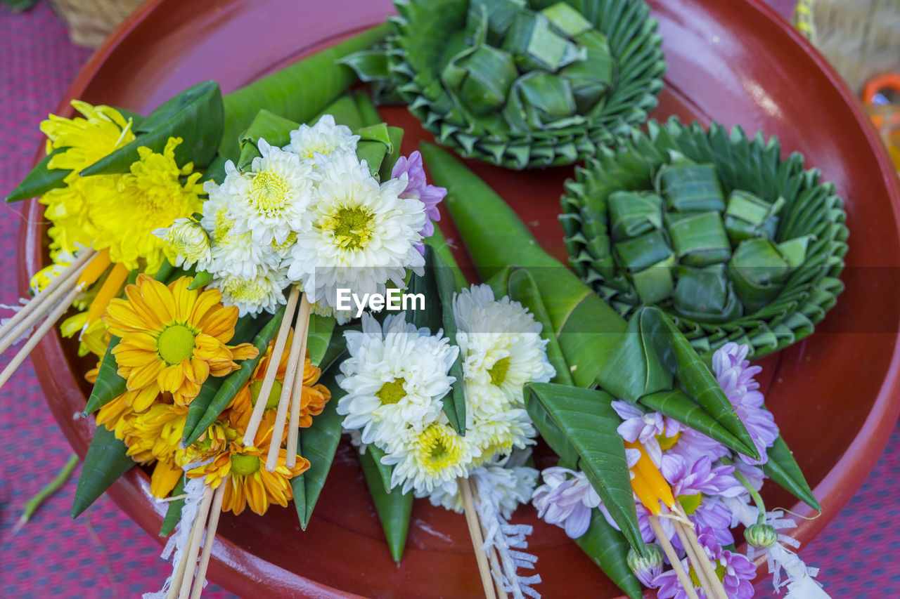 HIGH ANGLE VIEW OF FLOWER POT