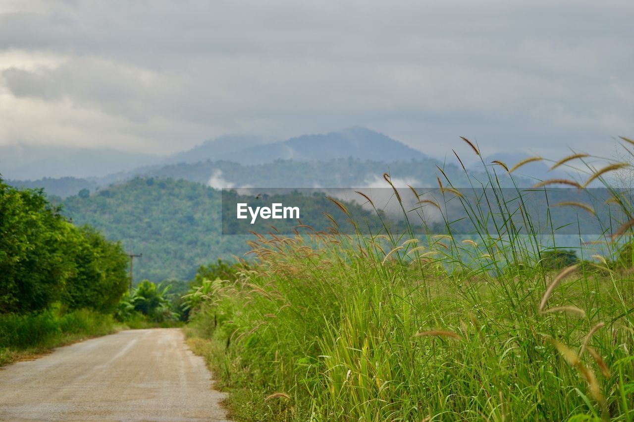 Road amidst plants and mountains against sky