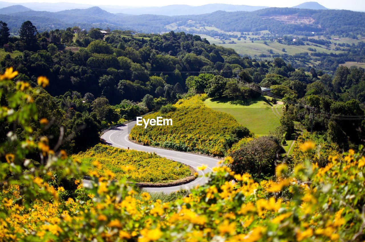 High angle view of road amidst plants and mountains