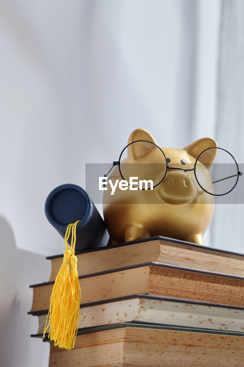 Piggy bank wearing eyeglasses on top of books with scroll of certificate