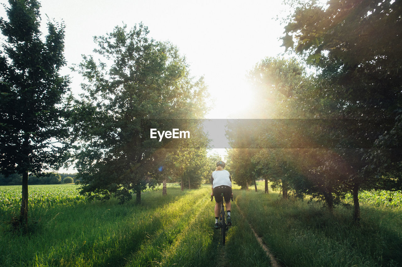 Rear view of woman cycling in forest