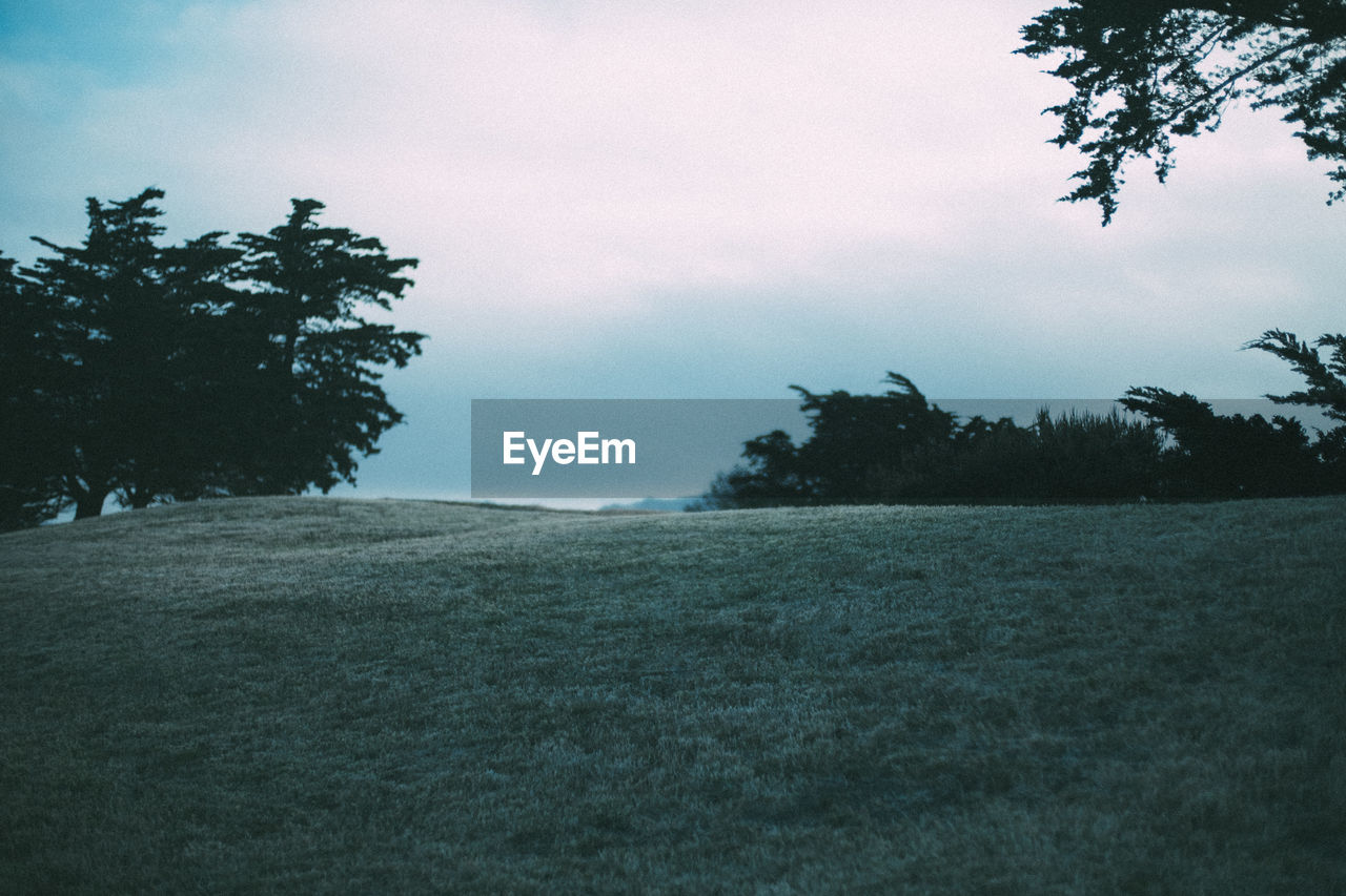 SCENIC VIEW OF LAND AGAINST SKY