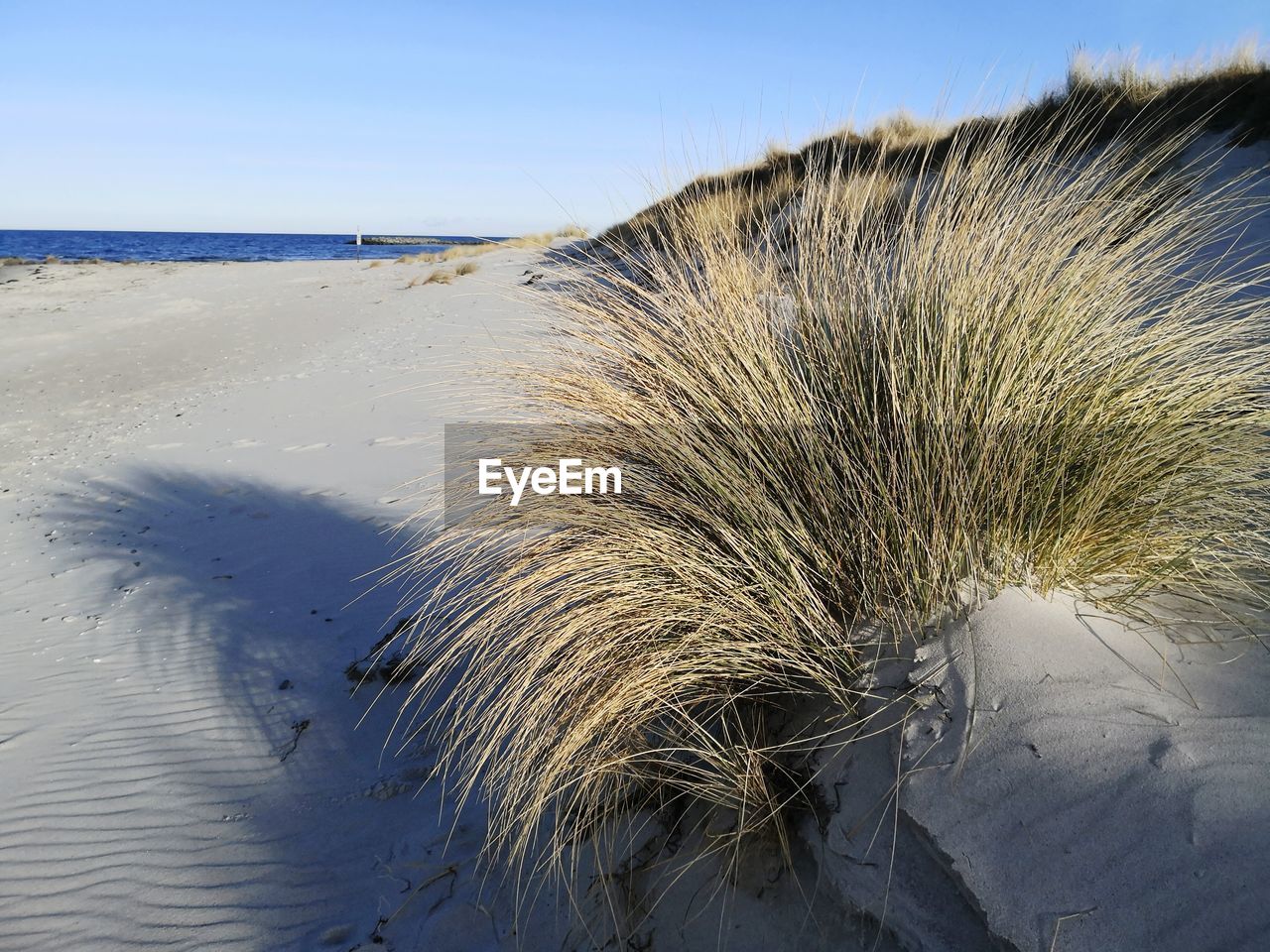 SCENIC VIEW OF BEACH DURING WINTER