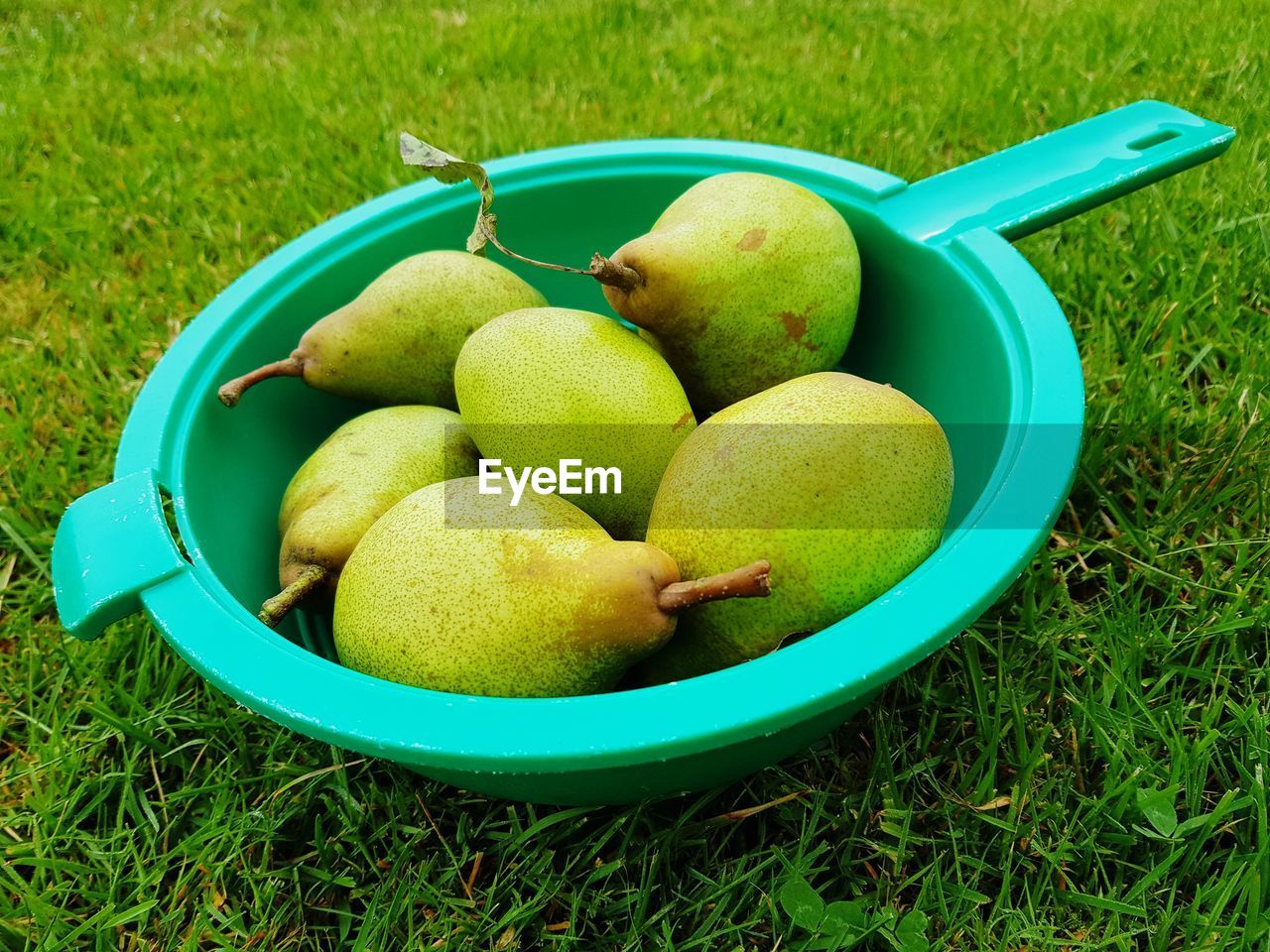 HIGH ANGLE VIEW OF APPLES IN CONTAINER