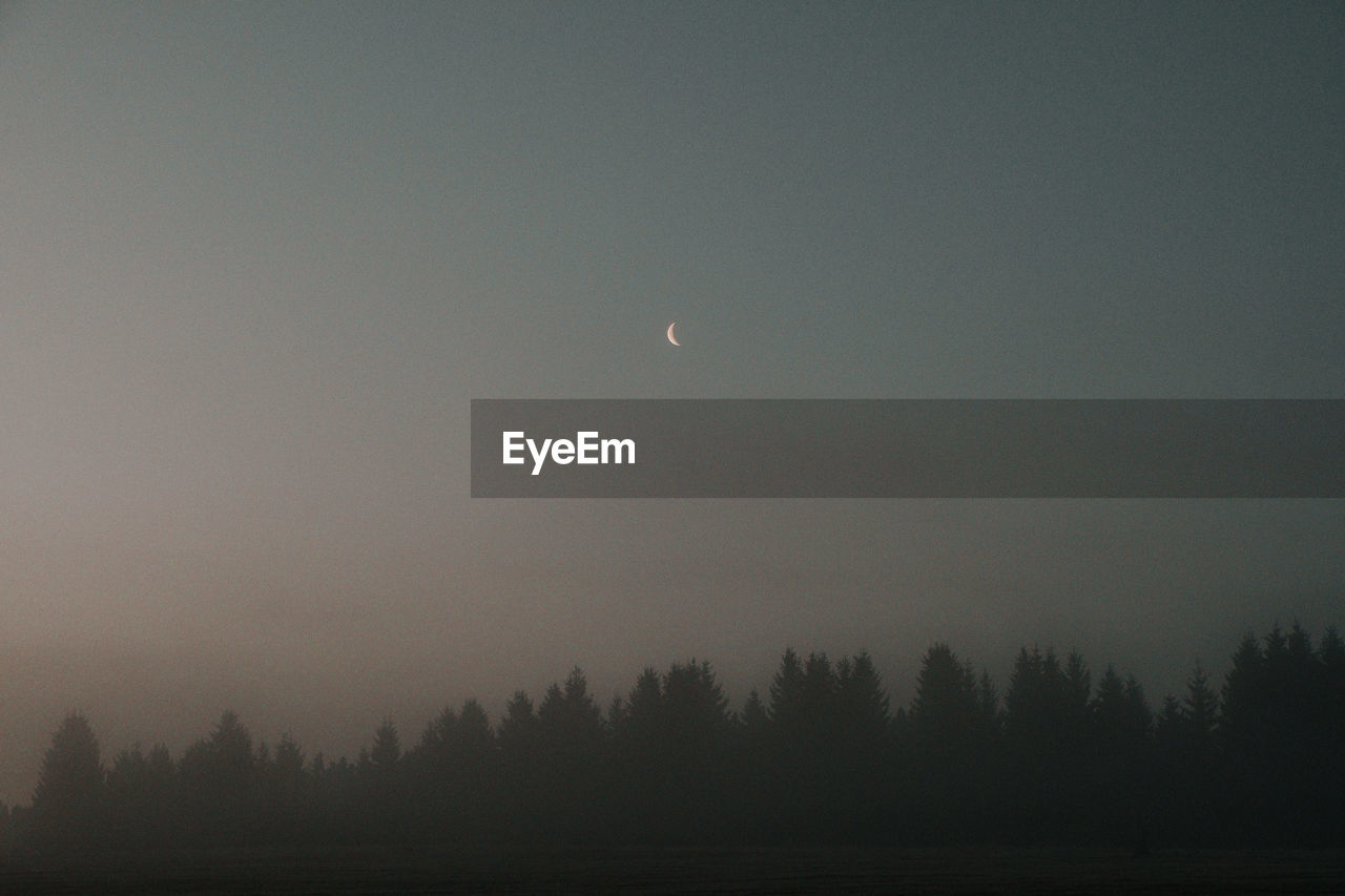 Scenic view of trees against sky at night