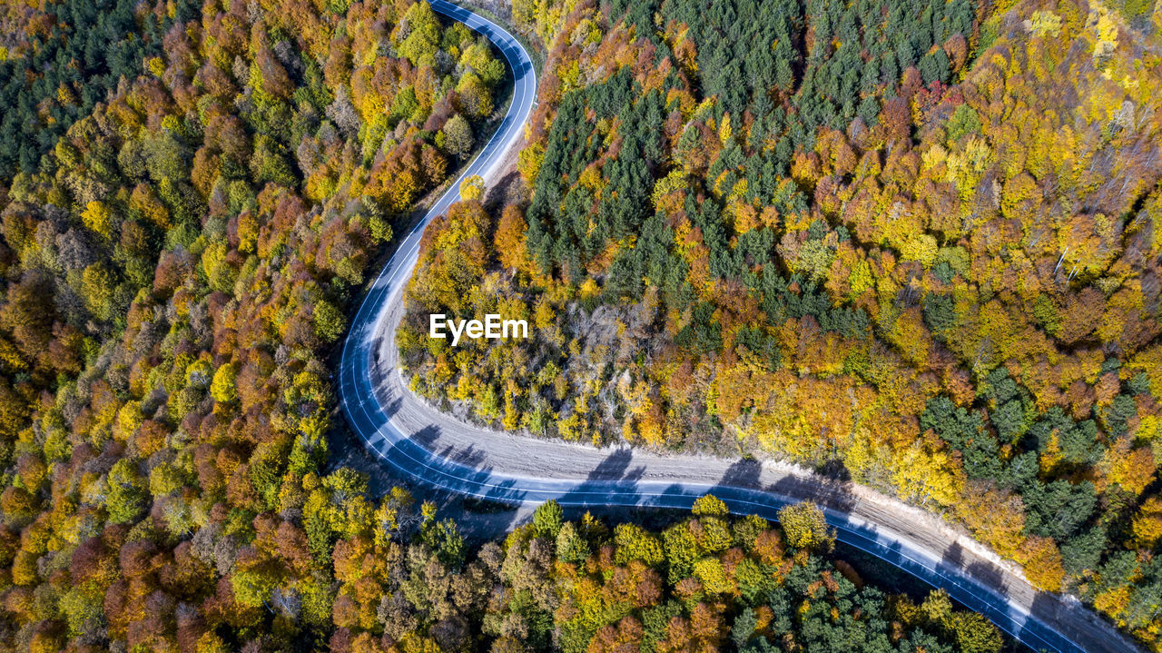 HIGH ANGLE VIEW OF ROAD PASSING THROUGH FOREST