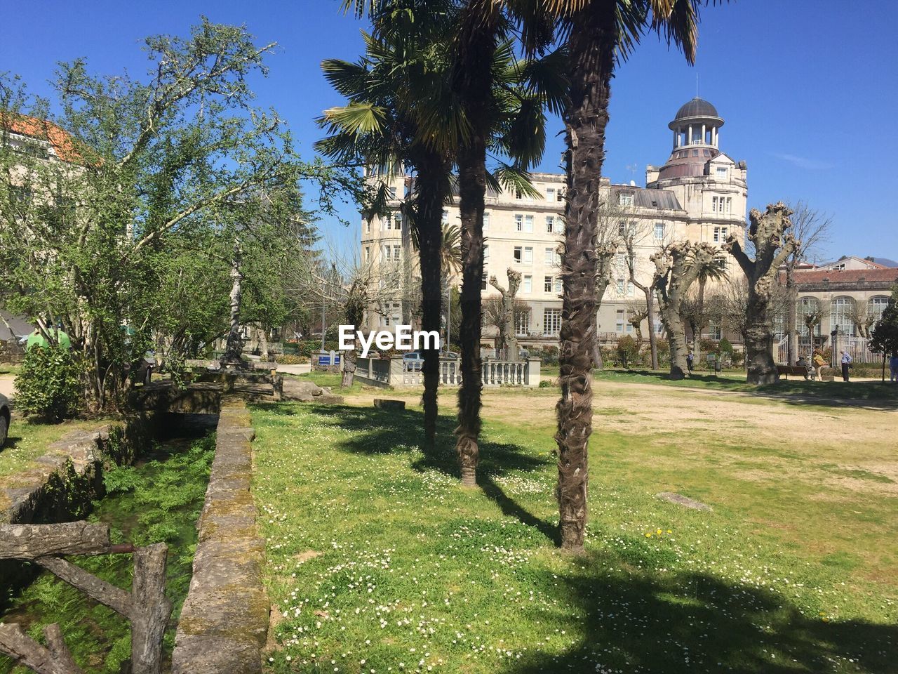 TREES IN FRONT OF BUILDING