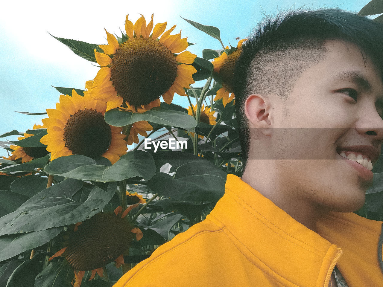 CLOSE-UP PORTRAIT OF SUNFLOWER ON ROCK AGAINST PLANTS