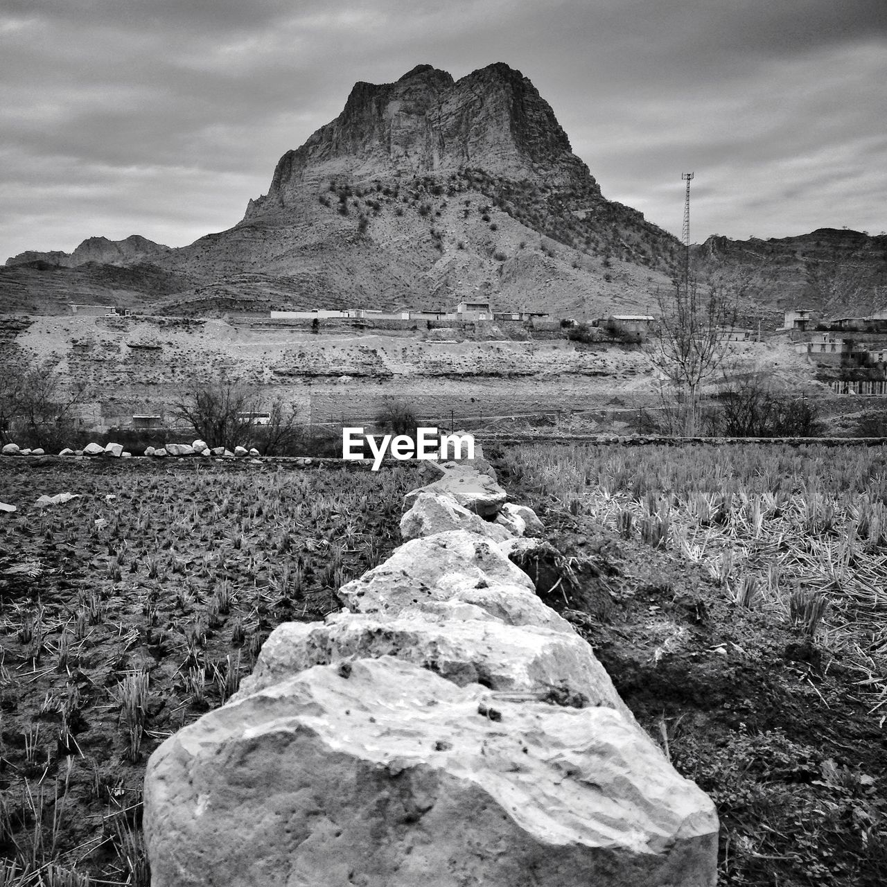 View of field with mountain in background