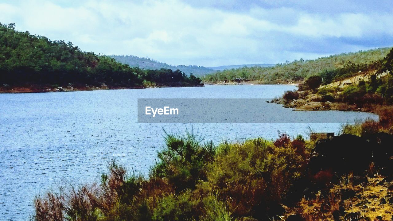 SCENIC VIEW OF LAKE AMIDST TREES AGAINST SKY