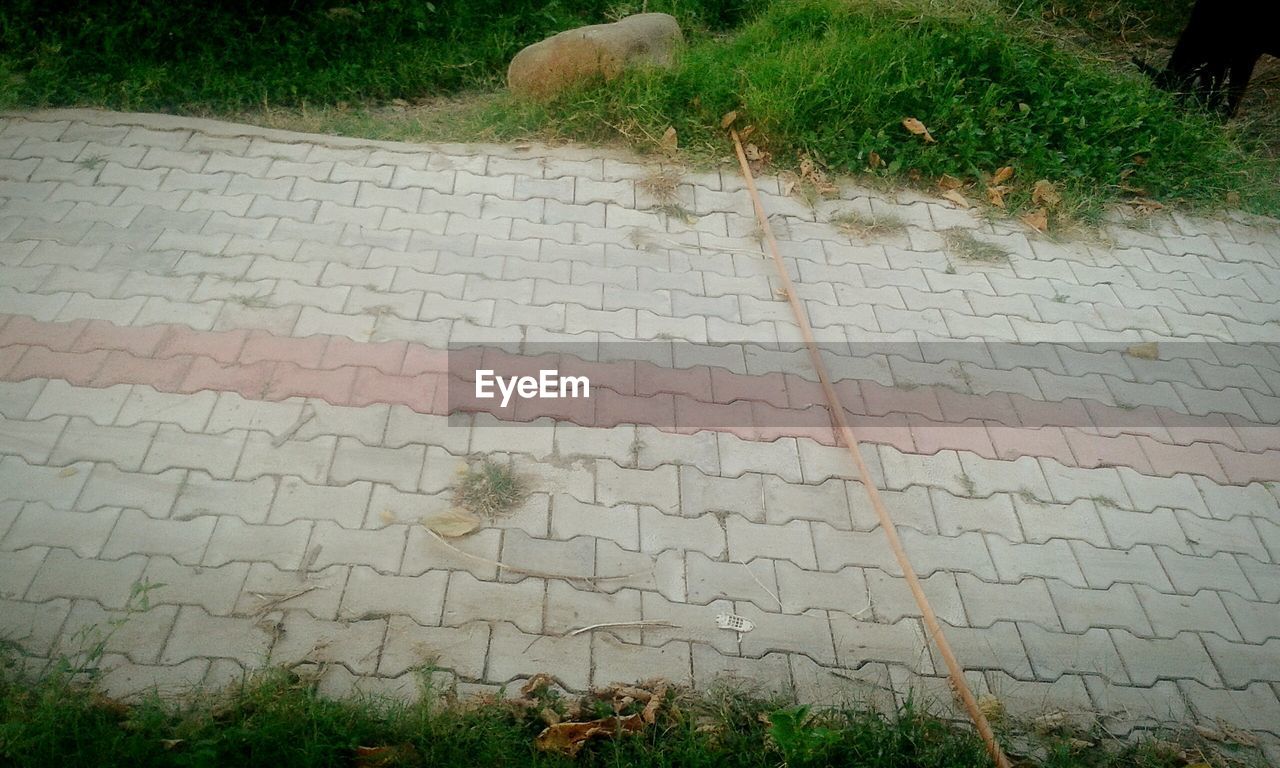 PLANTS GROWING ON FOOTPATH