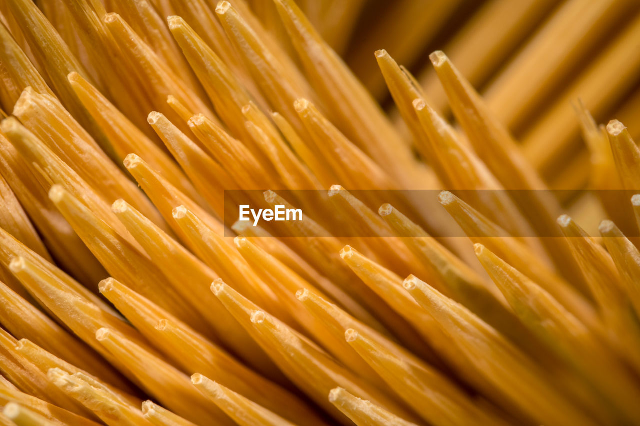 Close-up of toothpicks