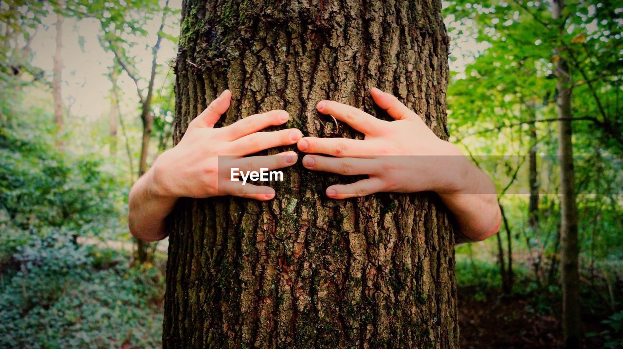 Cropped hands of man embracing tree trunk in forest