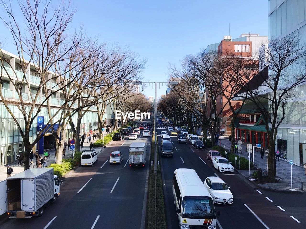 VEHICLES ON ROAD ALONG BUILDINGS