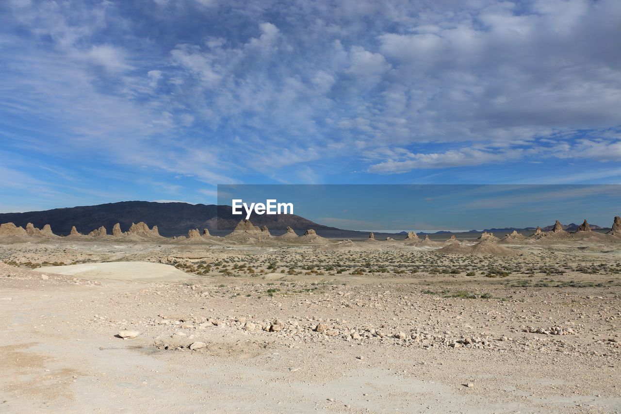 SHEEP ON DESERT AGAINST SKY