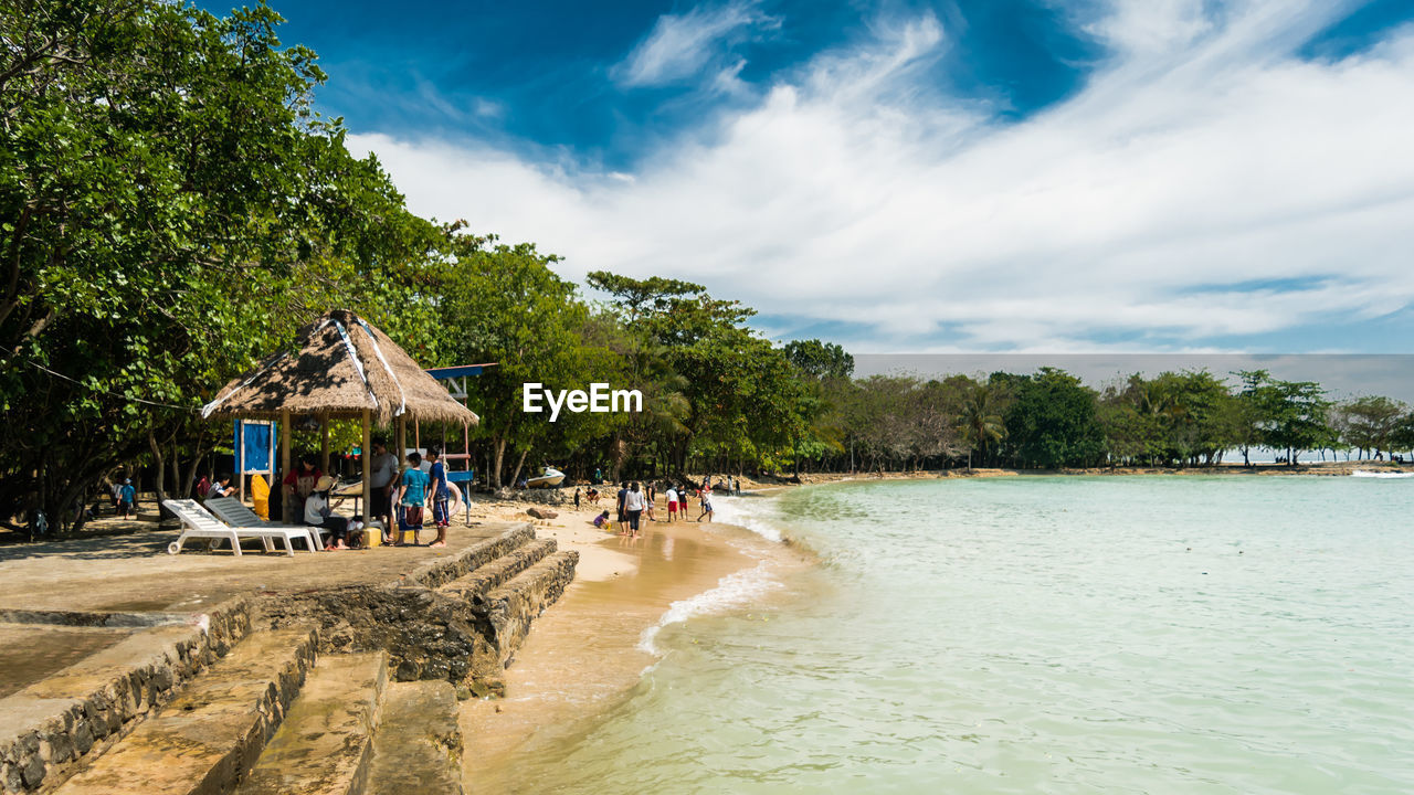 People enjoying at beach by trees against sky