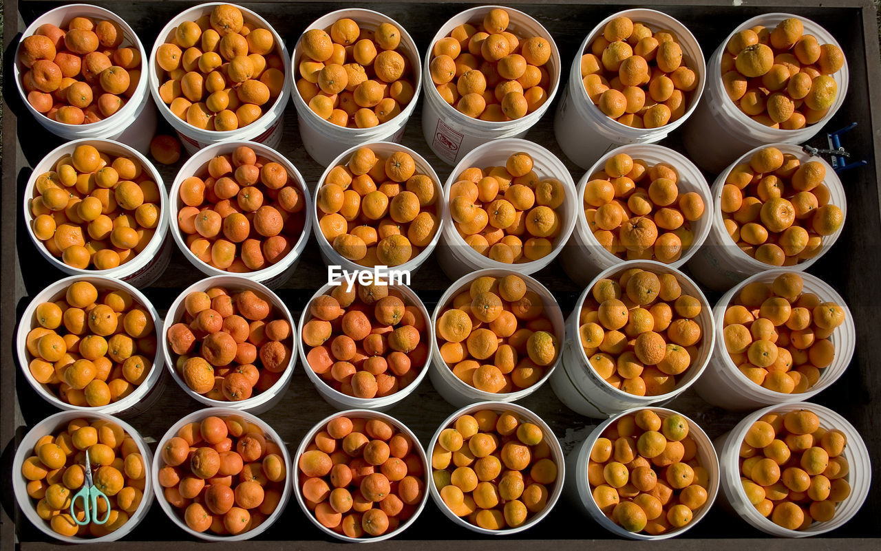 High angle view of oranges in containers for sale