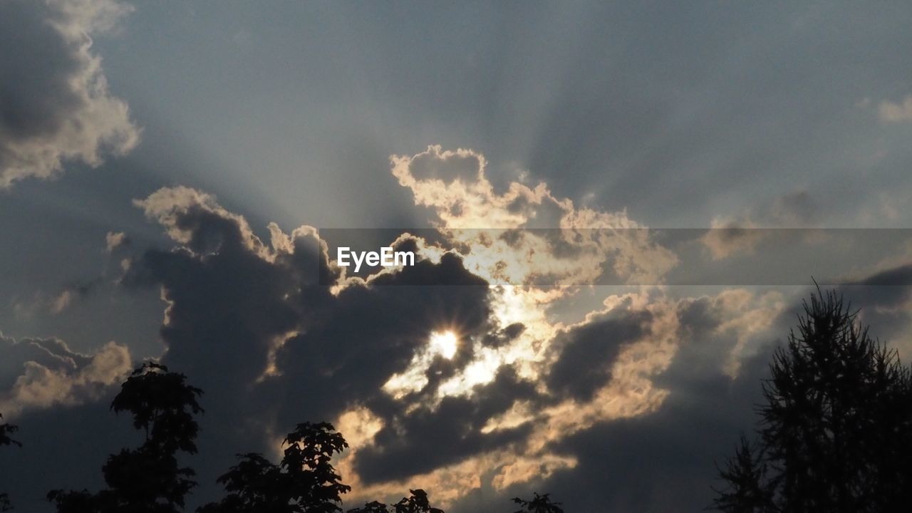 LOW ANGLE VIEW OF SILHOUETTE TREES AGAINST SKY