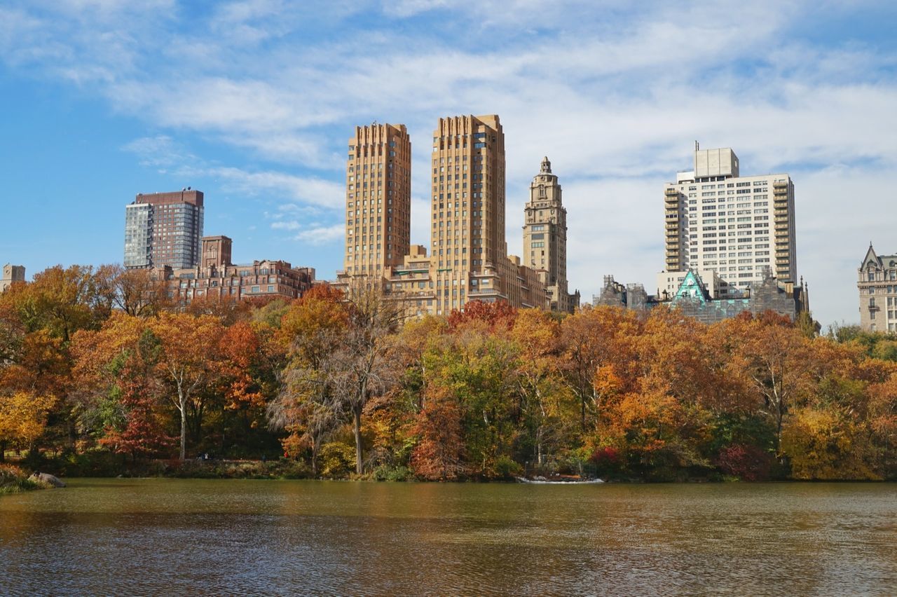 Trees growing by river with buildings at central park during autumn