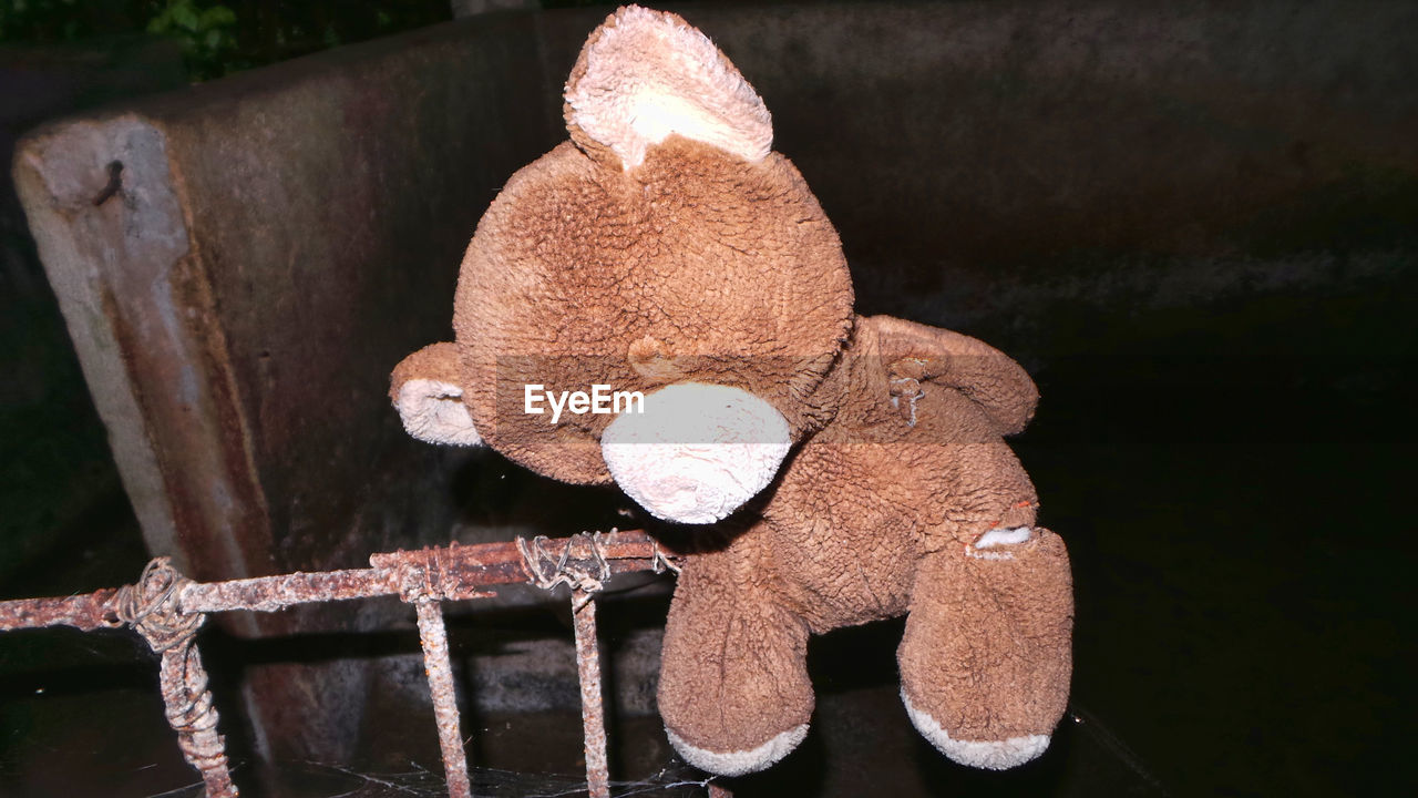 Abandoned teddy