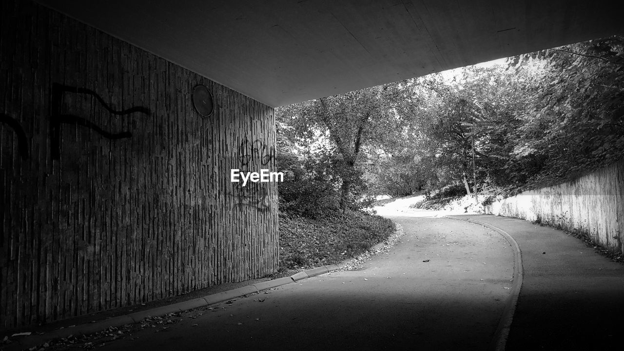 EMPTY ROAD AMIDST PLANTS AND TUNNEL