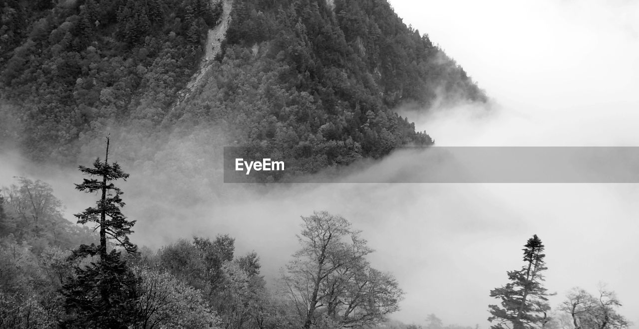 Mountains during foggy weather