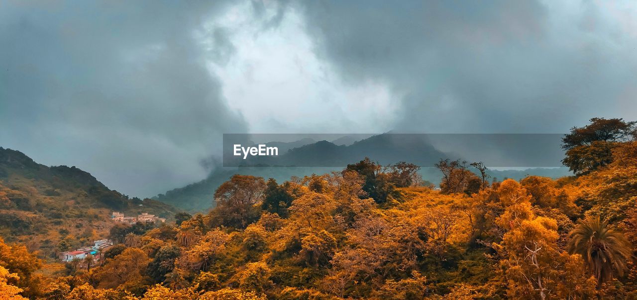 PANORAMIC VIEW OF TREES AND MOUNTAIN AGAINST SKY