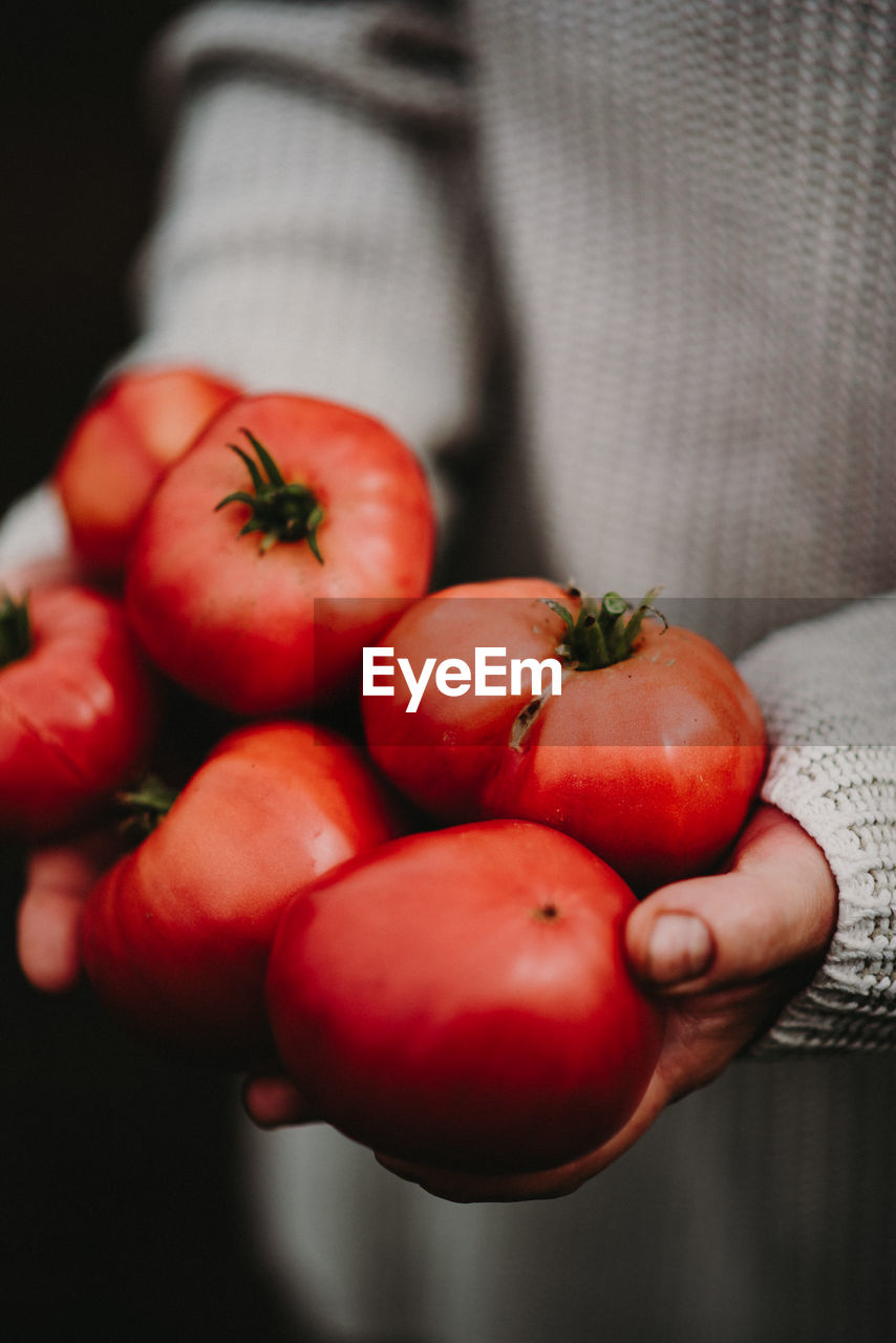 red, food, food and drink, tomato, healthy eating, freshness, hand, wellbeing, one person, holding, vegetable, fruit, plant, produce, close-up, adult, organic, indoors, flower, midsection, lifestyles, focus on foreground, agriculture, plum tomato, women, ripe, macro photography