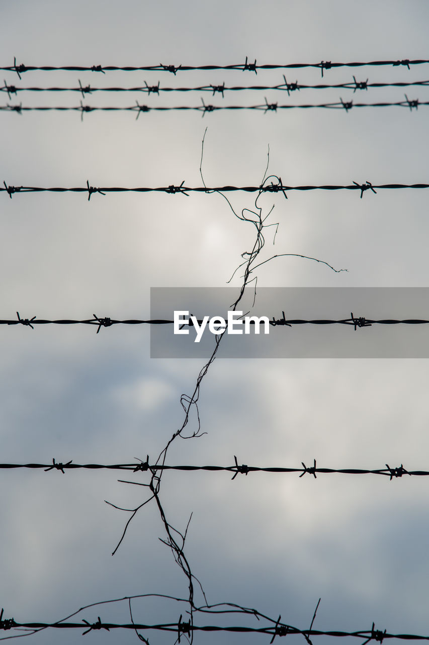 LOW ANGLE VIEW OF BARBED WIRE FENCE AGAINST SKY