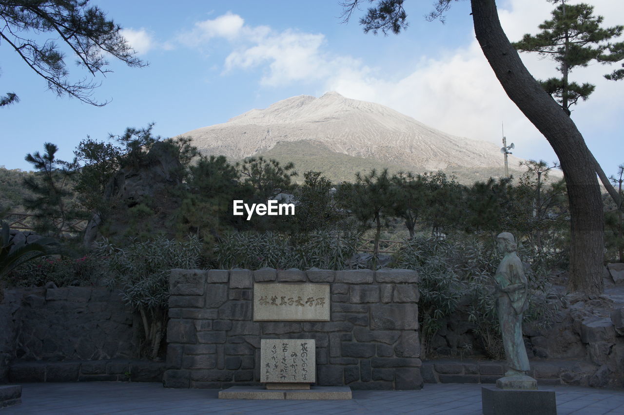 TREES AGAINST MOUNTAIN