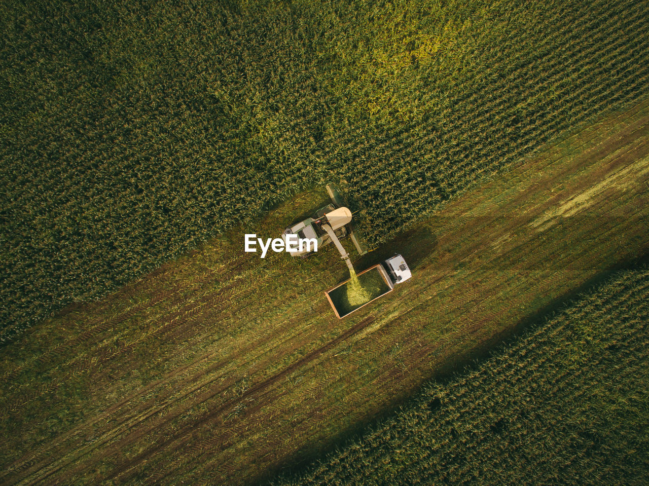 Aerial view of machinery working in agricultural field