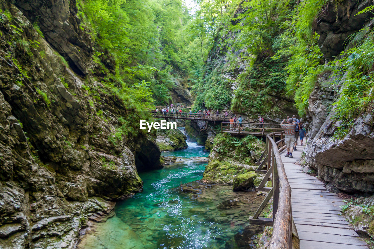 FOOTBRIDGE OVER RIVER STREAM IN FOREST