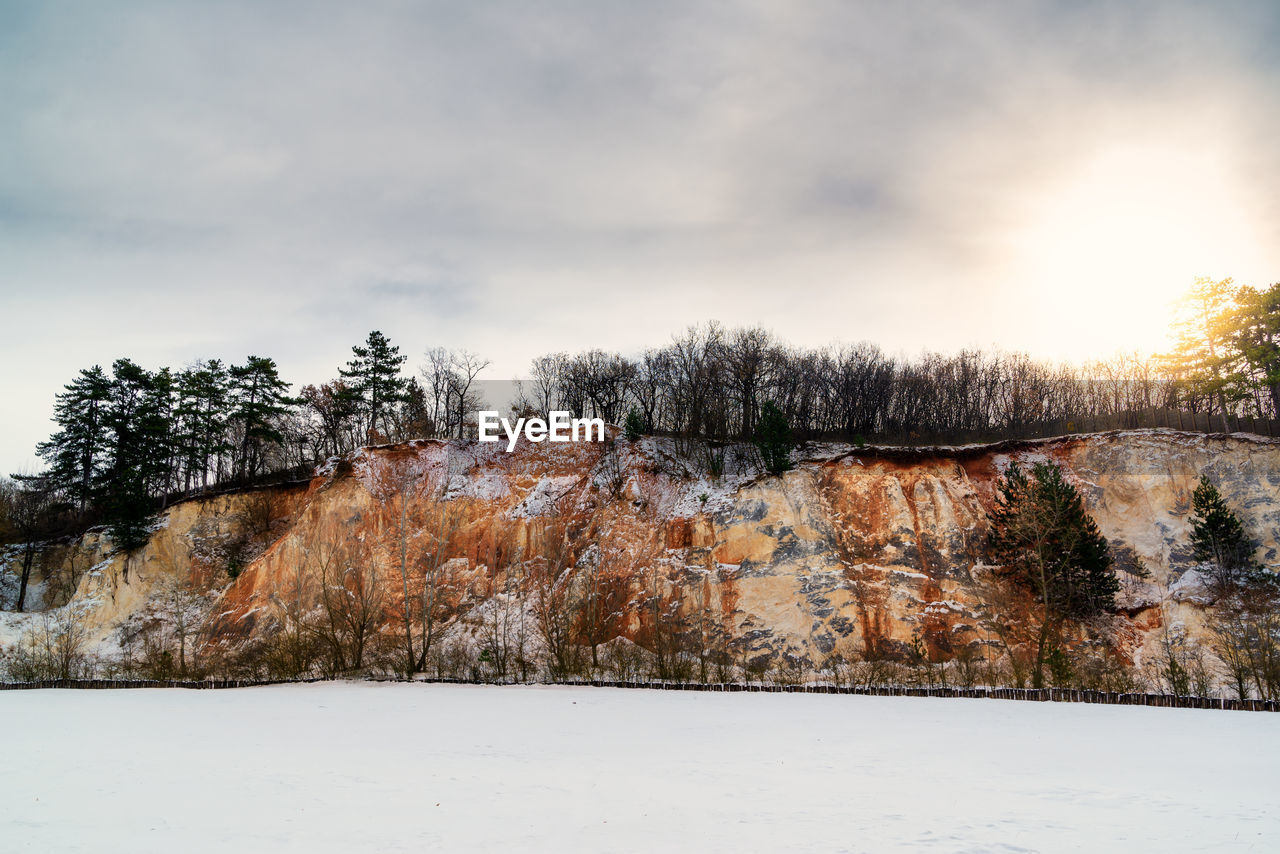 Trees on snow covered field against sky