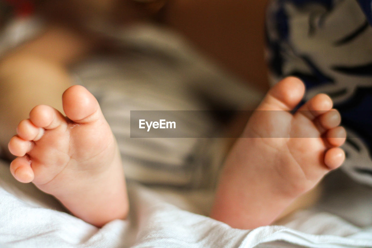 Low section of baby lying on bed