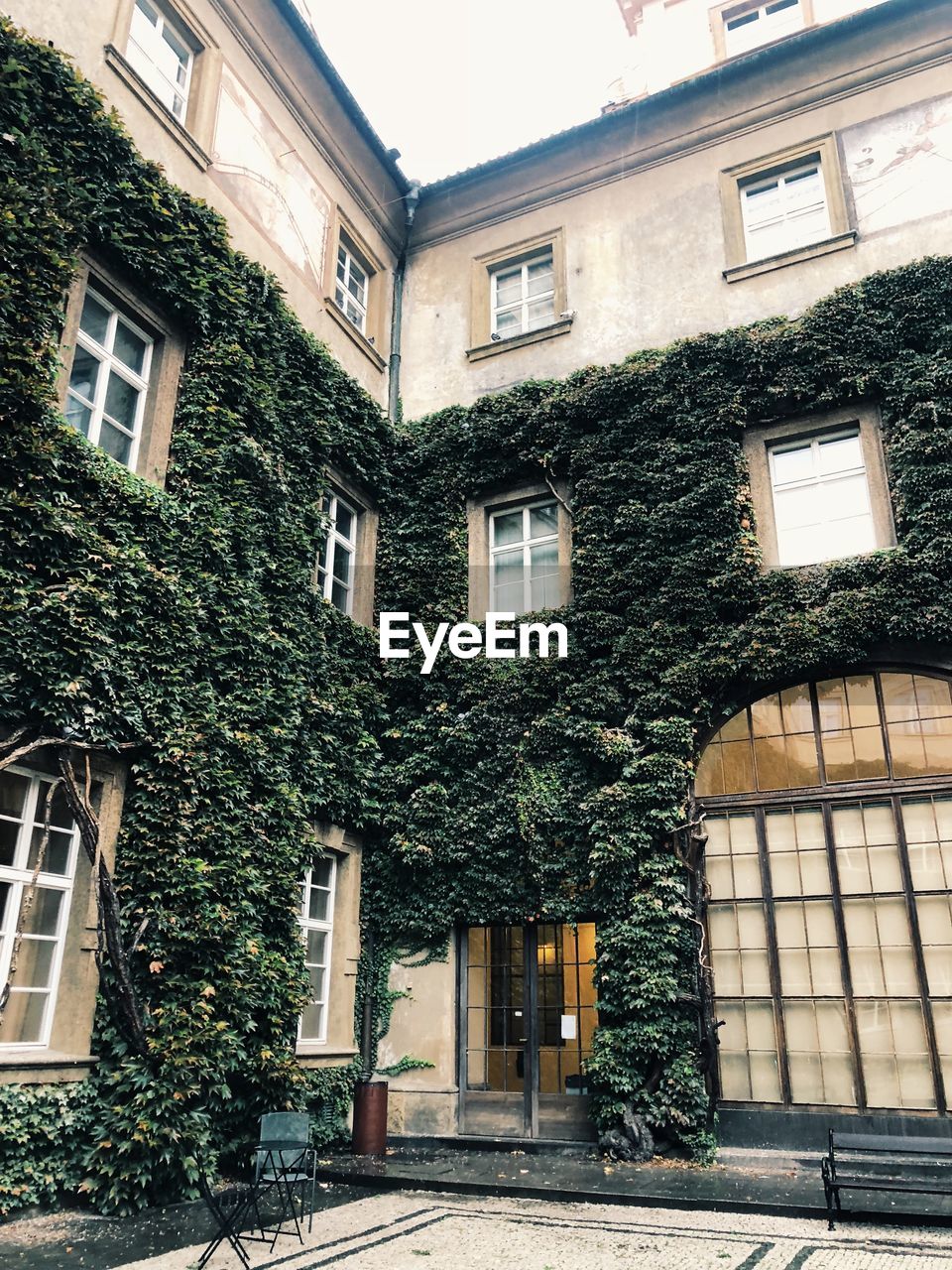 Low angle view of tree and building