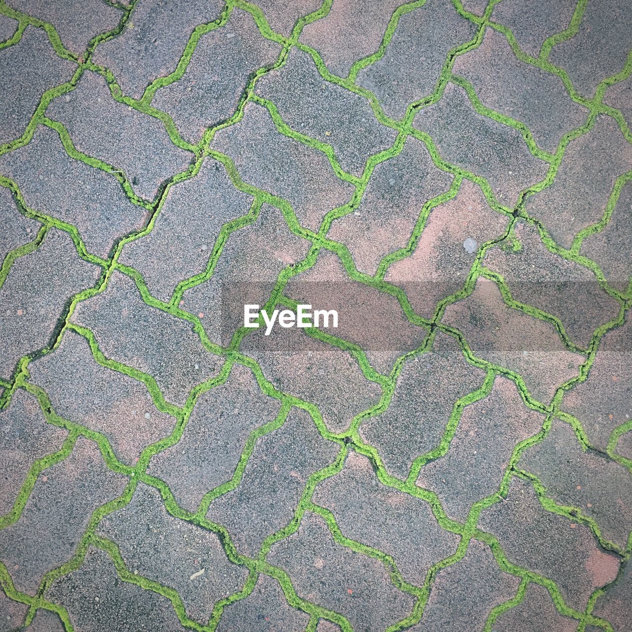 HIGH ANGLE VIEW OF CRACKED LAND