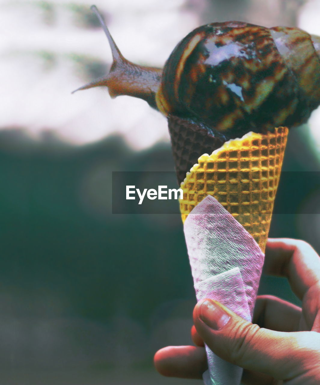 Cropped hand of woman holding snail in ice cream cone