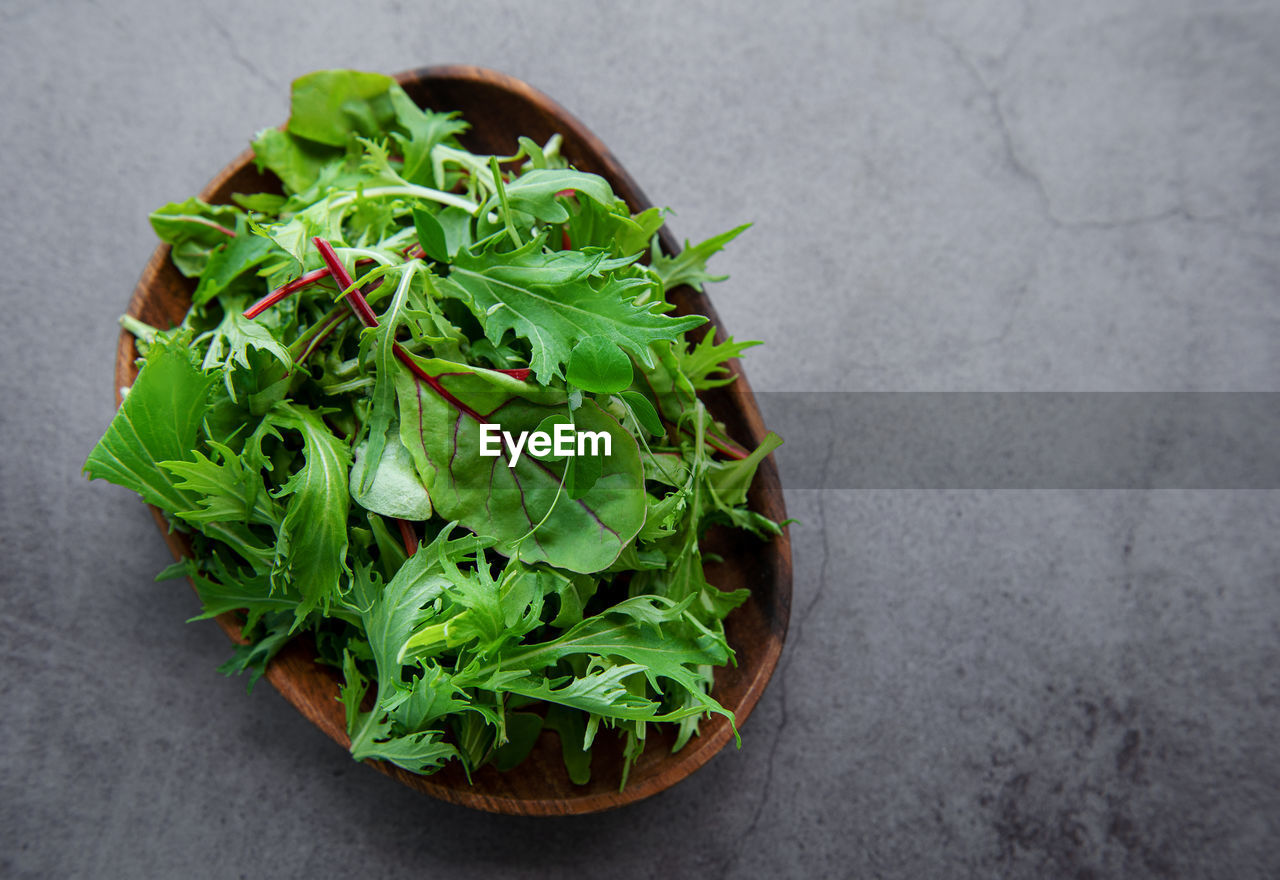 Mix of fresh green salad leaves with arugula and beets in plate on dark concrete background. 