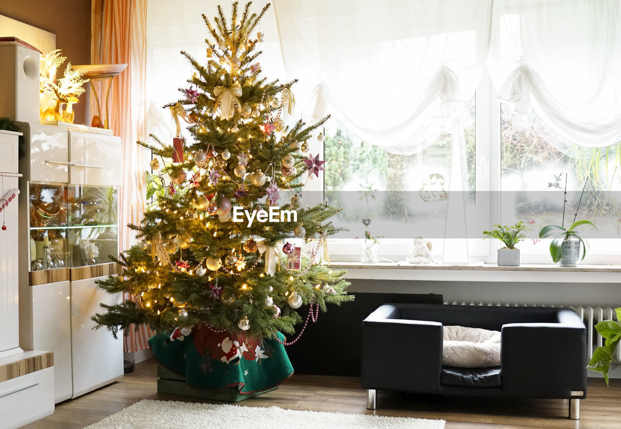 A christmas tree stands in a bright living room. white living room cupboard, white curtains.