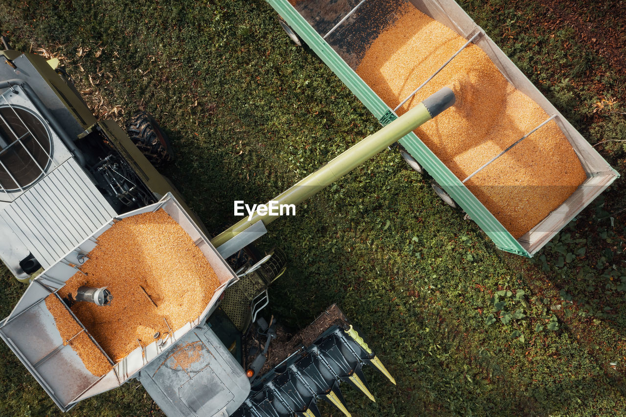 Aerial view of a combine harvesting corn with a modern machine, effective harvest
