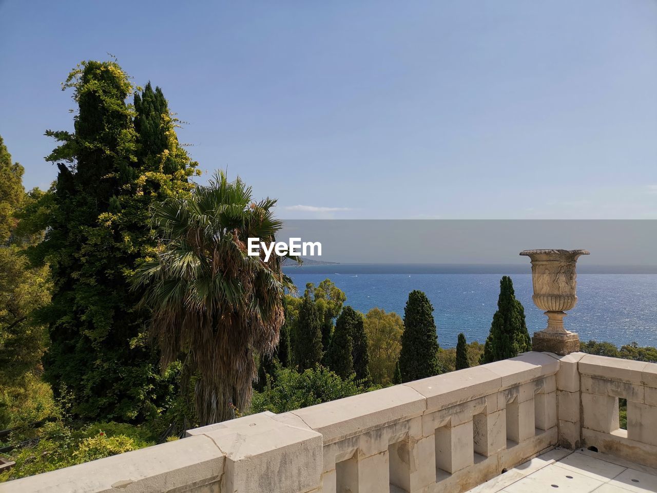 Trees by sea against clear sky