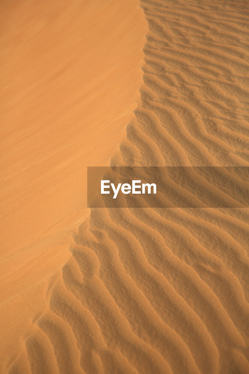 scenic view of sand at desert