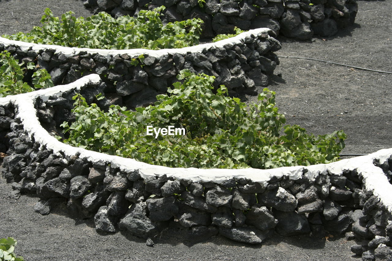 HIGH ANGLE VIEW OF STONES ON ROCK