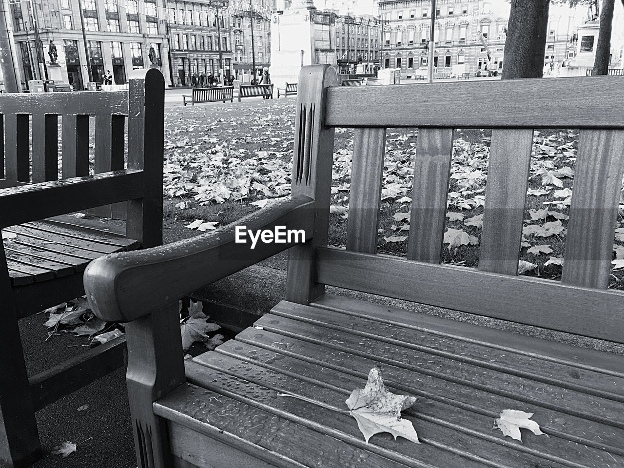 HIGH ANGLE VIEW OF EMPTY BENCH IN PARK