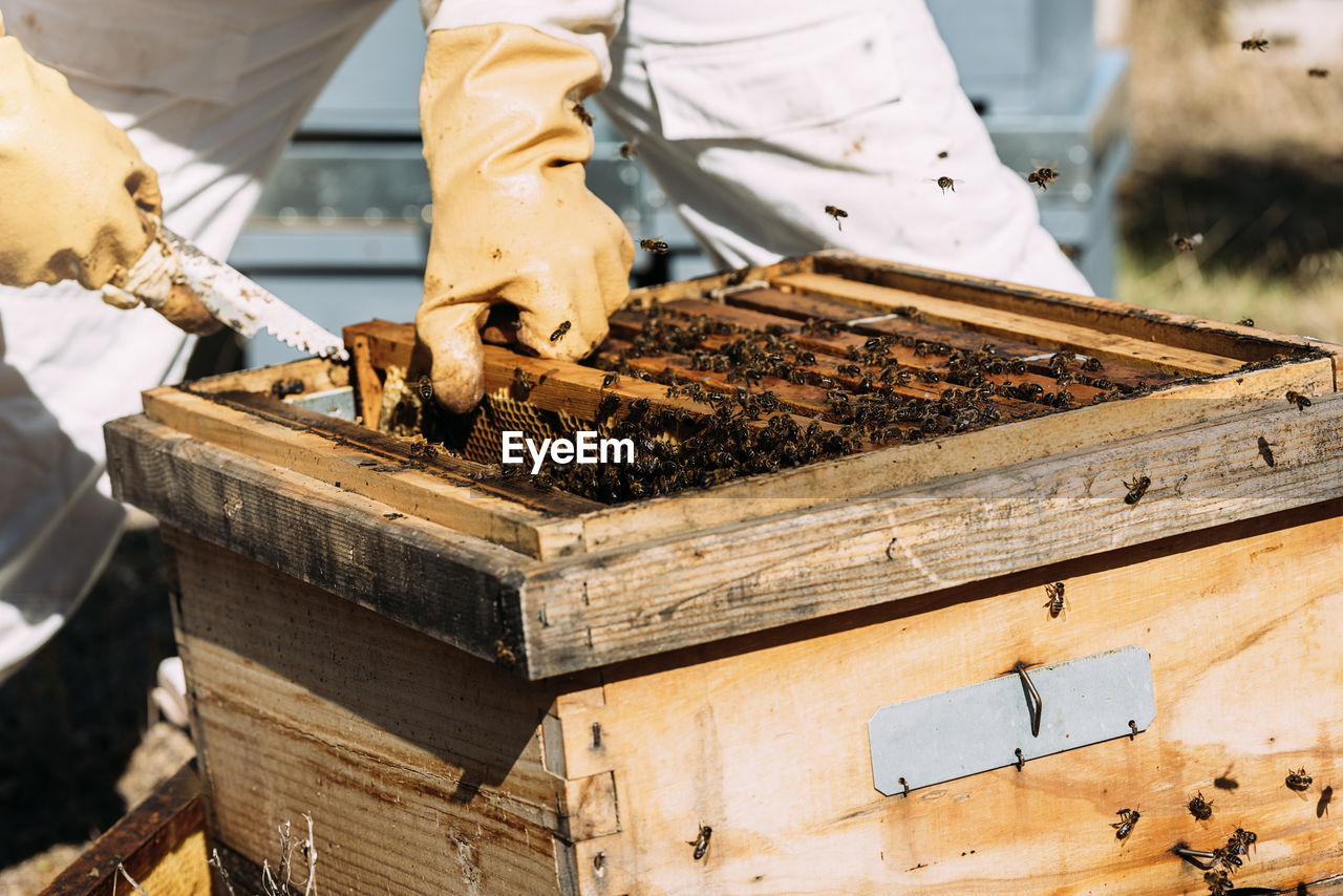 Midsection of man beekeeping at yard