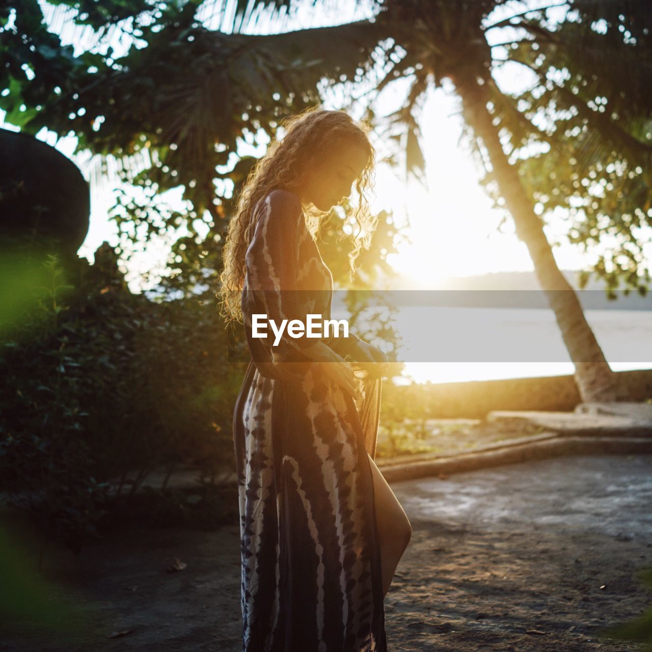 View of woman on beach by palm tree