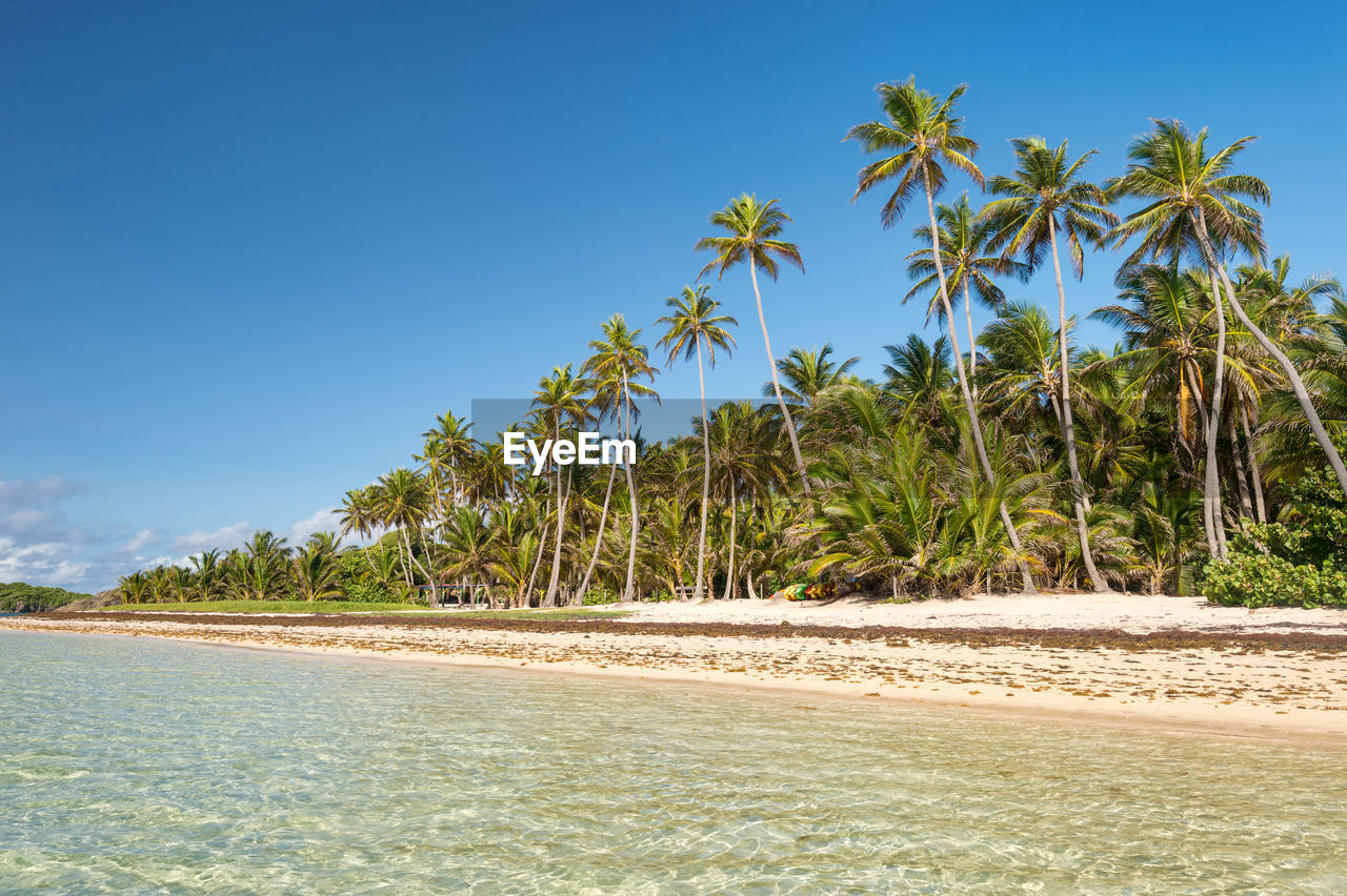 Scenic view of beach against blue sky